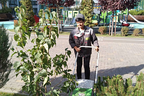 Результаты благоустройства