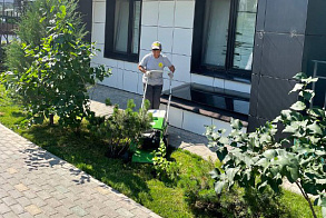 Результаты благоустройства