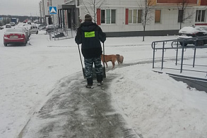 Результаты благоустройства