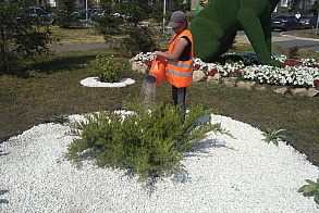 Результаты благоустройства