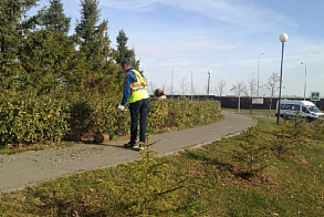 Результаты благоустройства