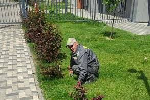 Результаты благоустройства