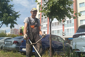Результаты благоустройства