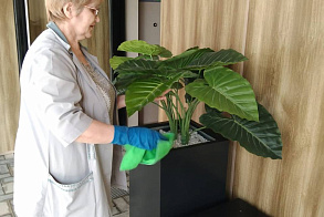 Результаты благоустройства