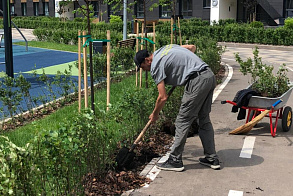 Результаты благоустройства