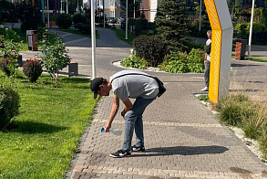 Результаты благоустройства