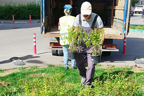 Результаты благоустройства