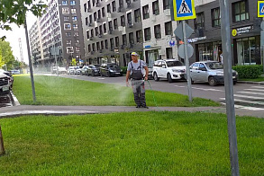 Результаты благоустройства