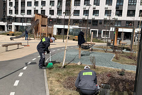 Результаты благоустройства
