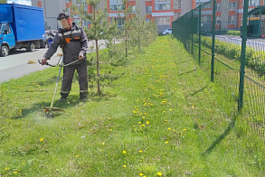 Результаты благоустройства
