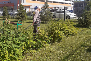 Результаты благоустройства