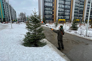 Результаты благоустройства