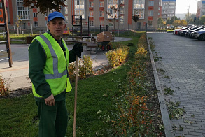 Результаты благоустройства