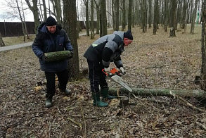  Результаты благоустройства