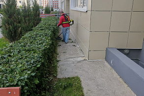 Результаты благоустройства