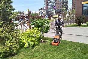 Результаты благоустройства