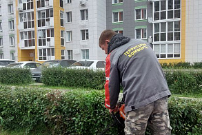 Результаты благоустройства