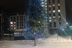 Результаты благоустройства