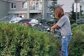 Результаты благоустройства