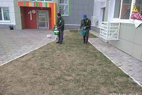 Результаты благоустройства