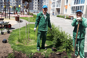 Результаты благоустройства