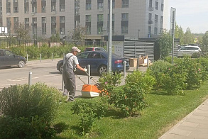 Результаты благоустройства