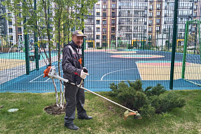 Результаты благоустройства