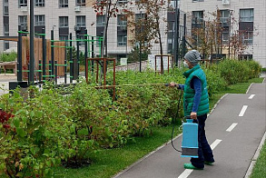 Результаты благоустройства