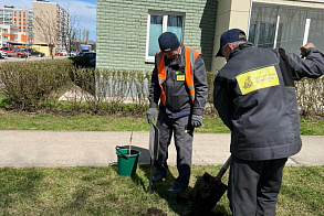 Результаты благоустройства