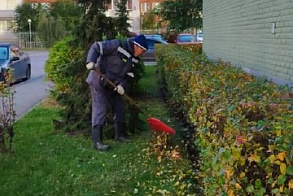 Результаты благоустройства