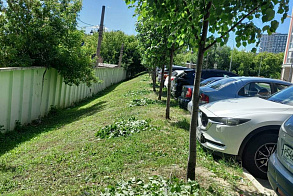 Результаты благоустройства