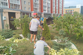 Результаты благоустройства