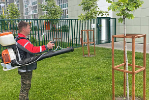 Результаты благоустройства