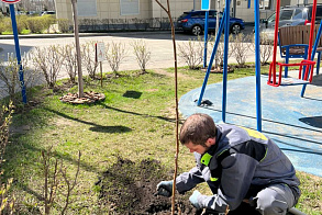 Результаты благоустройства