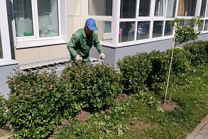 Результаты благоустройства