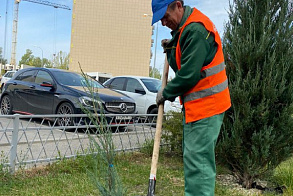 Результаты благоустройства