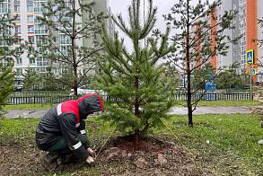 Результаты благоустройства