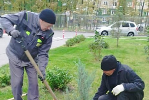 Результаты благоустройства