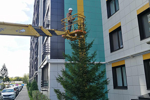 Результаты благоустройства