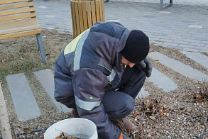 Результаты благоустройства