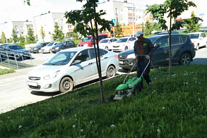 Результаты благоустройства