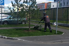 Результаты благоустройства