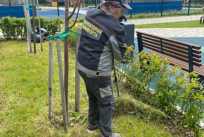 Результаты благоустройства