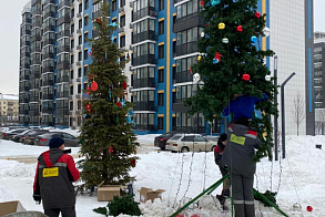 Результаты благоустройства
