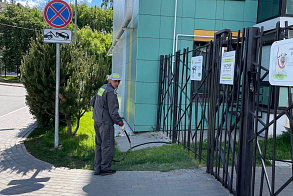 Результаты благоустройства