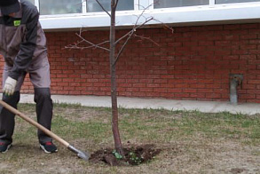 Результаты благоустройства