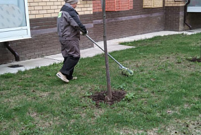 Результаты благоустройства