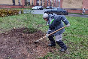 Результаты благоустройства