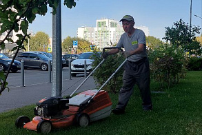 Результаты благоустройства