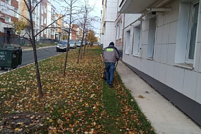 Результаты благоустройства